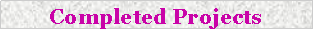 Text Box: Completed Projects