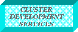 Text Box: CLUSTER DEVELOPMENT SERVICES