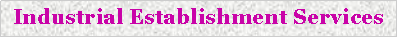 Text Box: Industrial Establishment Services 