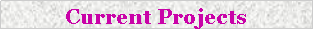 Text Box: Current Projects