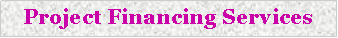Text Box: Project Financing Services