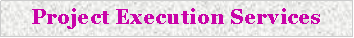 Text Box: Project Execution Services 