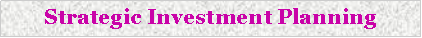 Text Box: Strategic Investment Planning
